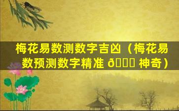 梅花易数测数字吉凶（梅花易数预测数字精准 🍁 神奇）